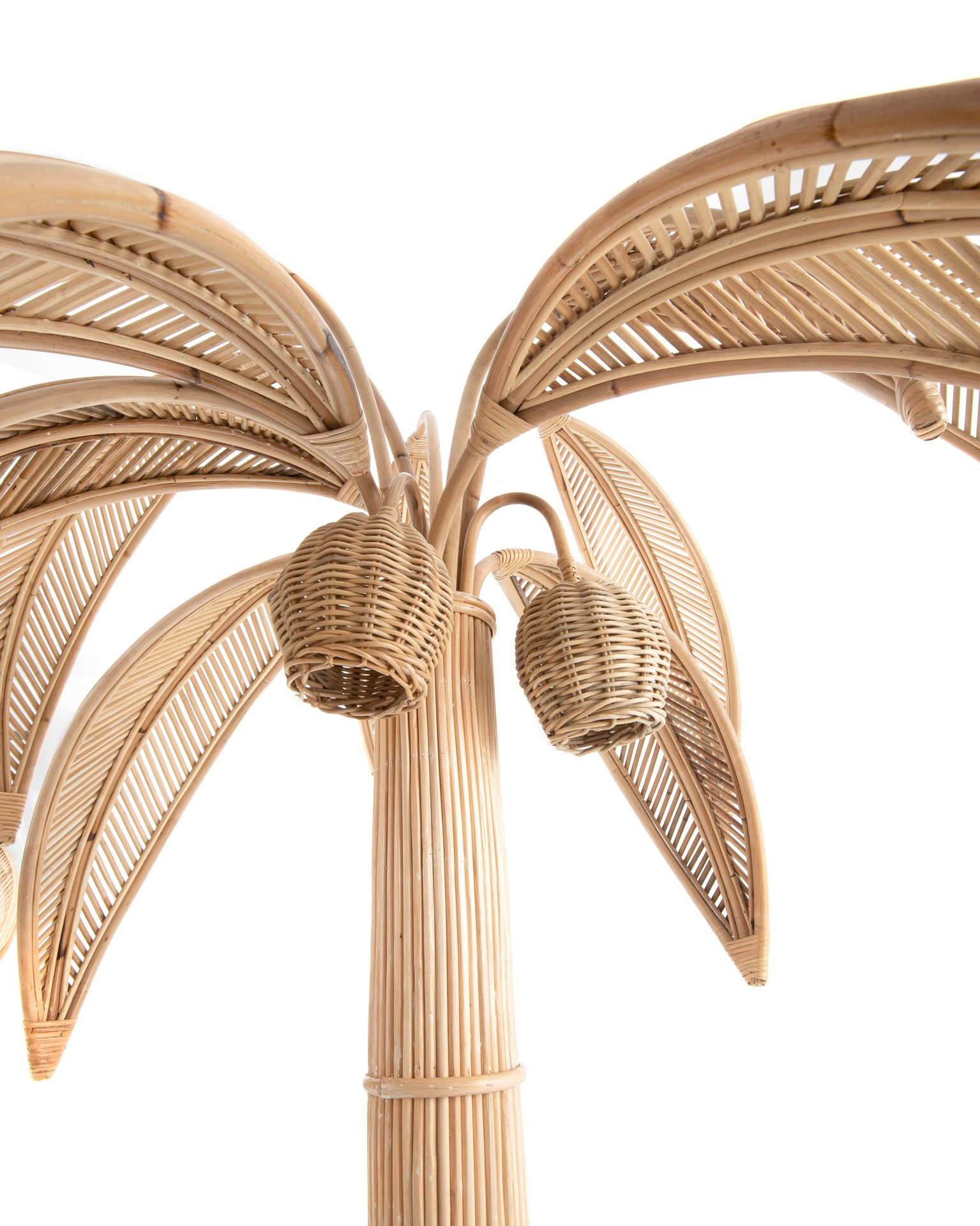 PALM DECOR 1 Thumbnail
